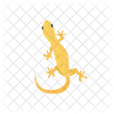 Lizard Wild Reptile Icon