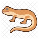 Lizard Animal Reptile Icon