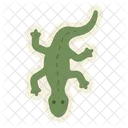 도마뱀 파충류 도마뱀 아이콘