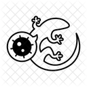 Lizard Biology Animal Icon