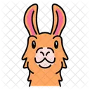 Llama Alpaca Animal Icon
