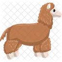 Llama  Icon