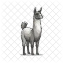 Animal Wildlife Zoo Icon