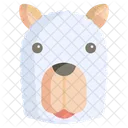 Llama Alpaca Animal Icon