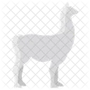 Llama Animal Wildlife Icon