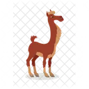 Llama Vicugna Alpaca Icon