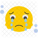 Llanto  Icono