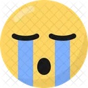 Emoticono Emoji Emojis Icono