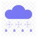 Lluvia y nieve  Icon