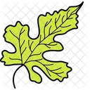 Lobate Leaf Foliage Icon