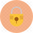 Lock Locked Private Icon