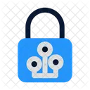 Lock data  Icon