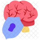 Locked Brain Think Icon