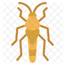 Locust  Icon