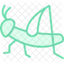 Locust Insect Swarm Icon