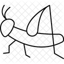 Locust Insect Swarm Icon