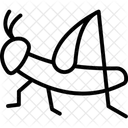 Locust Insect Swarm Icon