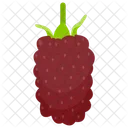 Loganberry Berry Fruit Black Currant Icon