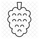  Icône