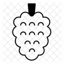  Icône