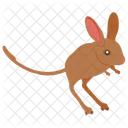 Long Eared Jerboas Jerboas Rat Icon