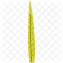 Long Pointy Leaf Spring Nature Icon