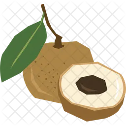 Longan  Icon