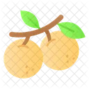 Longan Fruit Food Icon