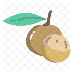 Longan  Icon