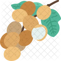 Longan  Icon