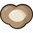 Longan Fruit  Icon