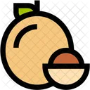 Longan Fruit Tropical Icon