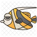 Longfin Sea Culture Fish Icon
