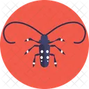 Longhorn Beetle Beetle Bug Icon