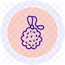 Loofah  Icon