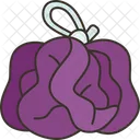 Loofah Sponge Skin Icon