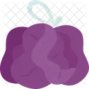 Loofah Sponge Skin Icon