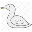 Loon Bird Water Icon