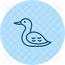 Loon Bird Water Icon