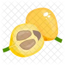 Loquat Fruit Healthy Food Icon