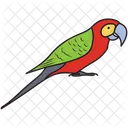 Pajaro Pajaro Colorido Loro Icono