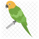 Loro Pajaro Mascota Icono