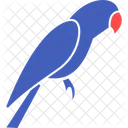 Loro Fauna Ave Icono