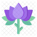 Loto morado  Icon