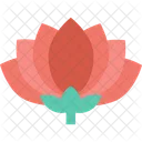 연꽃 꽃 연꽃 아이콘