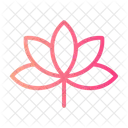 Lotus Botanical Blossom Icon