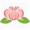 Lotus Flower Japanese Icon