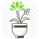 Lotus Houseplant Plant Icon