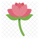 Lotus Flower Nature Icon