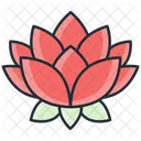 Lotus Flor Meditacao Ícone